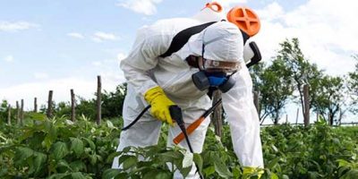Pestisitli Gıdalar Sağlığa Zararlı mıdır