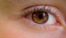 Göz Renkleri Neye Göre Oluşur?